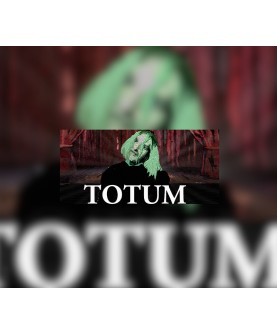 Totum Steam Key GLOBAL